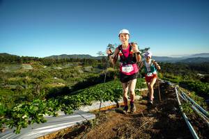 BIB: 1944
                            <button type="button" onclick="openModal(19115745)" class="btn btn-primary btn-sm float-right btn-popup" data-toggle="modal" data-target=".modal-high-quality">
                        <i class="fas fa-shopping-cart"></i> Add to Cart
                    </button>
                                            <button type="button" onclick="isThisMe(19115745, true)" class="btn btn-success btn-sm float-right btn-popup btn-isme hidden" data-toggle="tooltip" data-placement="bottom" title="นี่คือรูปของคุณใช่ไหม คลิกที่นี่เพื่อเอาเข้าอัลบั้ม">
                        <i class="fas fa-plus"></i> Add to album
                    </button>
                    <button type="button" onclick="isThisMe(19115745, false)" class="btn btn-warning btn-sm float-right btn-popup btn-isnotme hidden">
                        <i class="fas fa-ban"></i> Remove from album
                    </button>